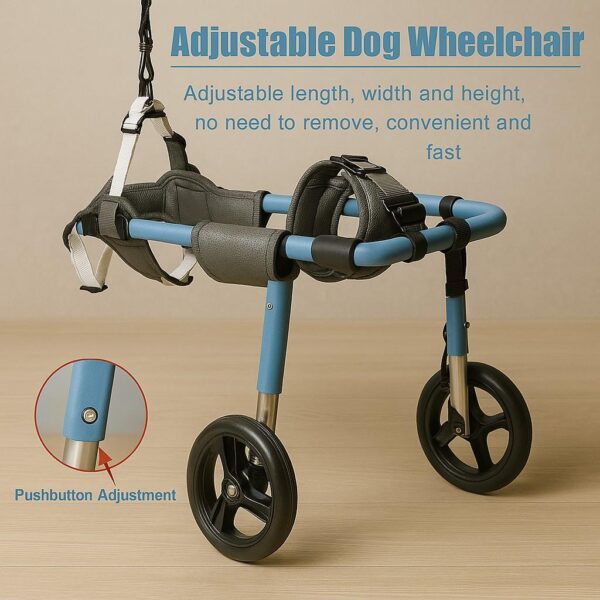 Wheelchairs For Back Legs - Image 8