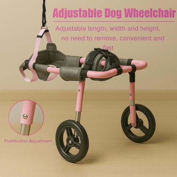 Wheelchairs For Back Legs - Image 7