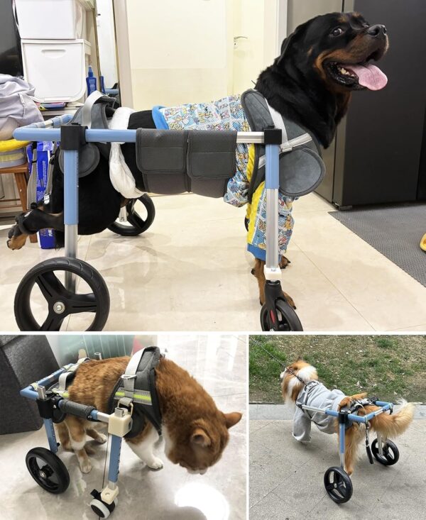 Dog Wheelchair testimonials