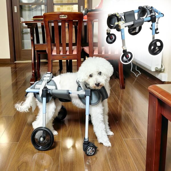 small Pet Mobility aid today