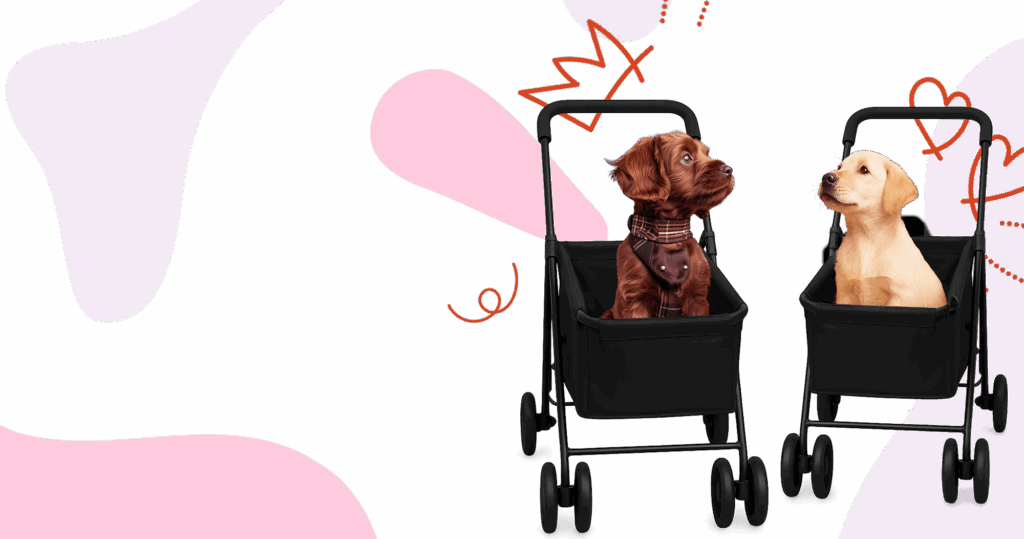 dog with wheels stroller background